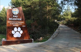 Geçici Hayvan Bakımevi ve Rehabilitasyon Merkezi Projesi 